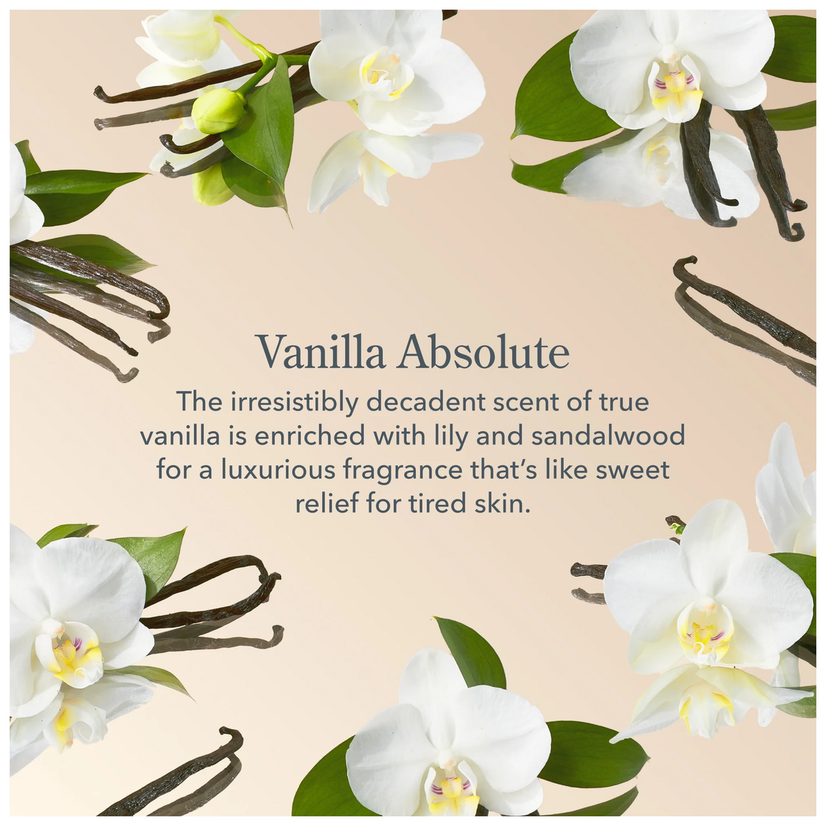 Beekman 1802 Vanilla Absolute Wipes