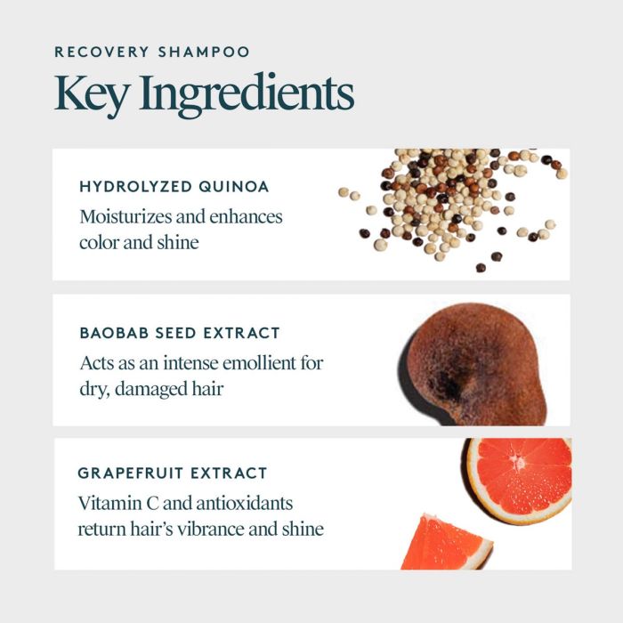 Virtue Recovery Conditioner