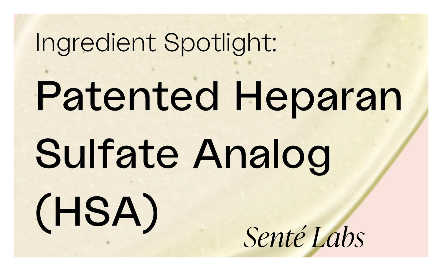 Exploring the Revolutionary HSA in Senté Labs