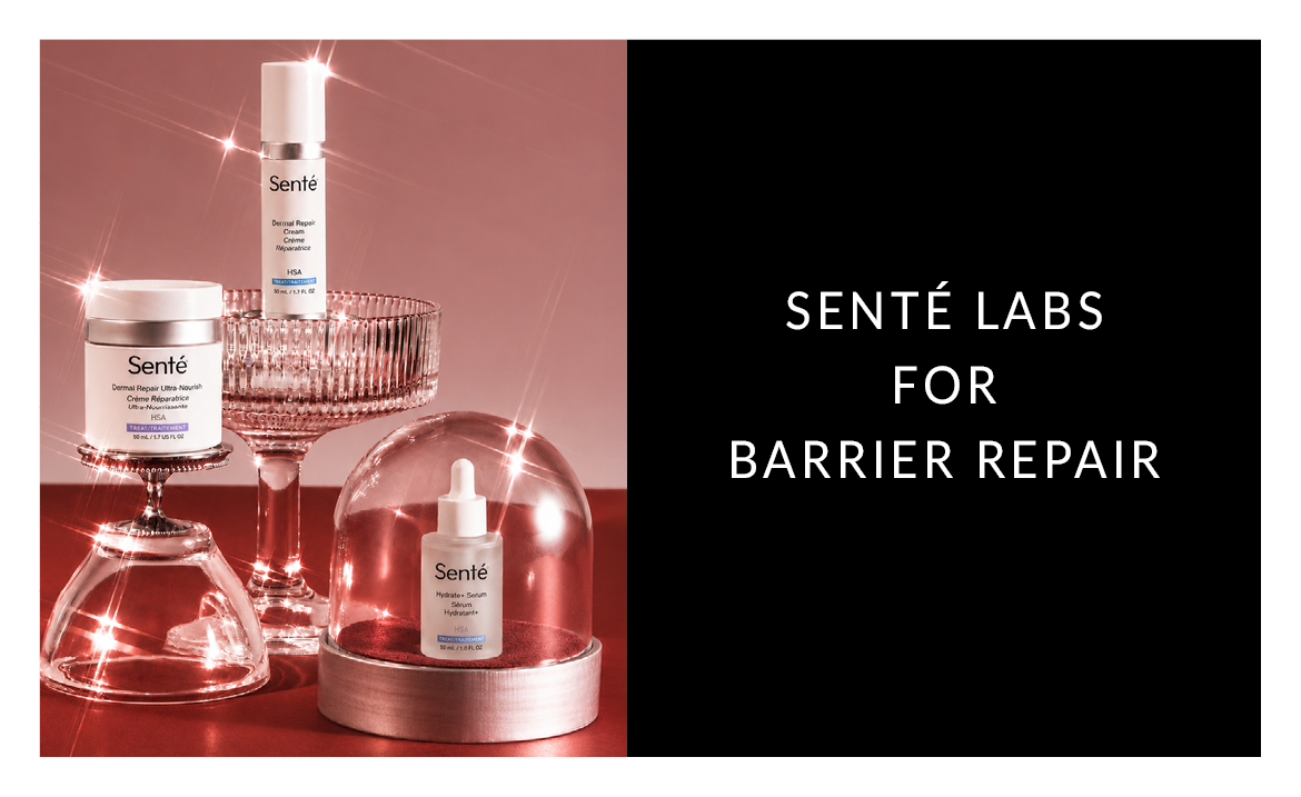 Senté The Art of Skin Barrier Repair
