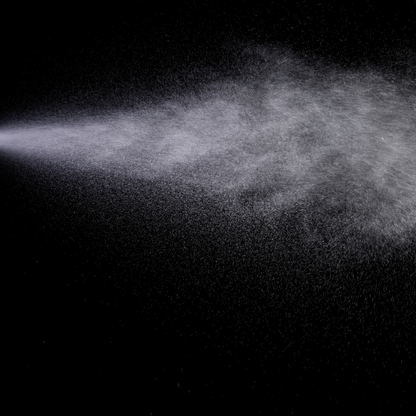 Hair Prayer -Leave-In Hair Mist