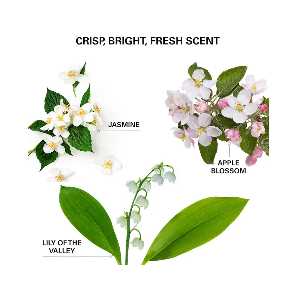 COLOR WOW  Insta-Wow Advanced Dry Shampoo