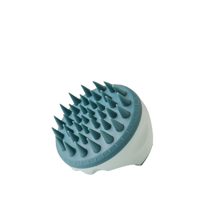Hair Prayer Scalp Massaging Brush for Hair Growth