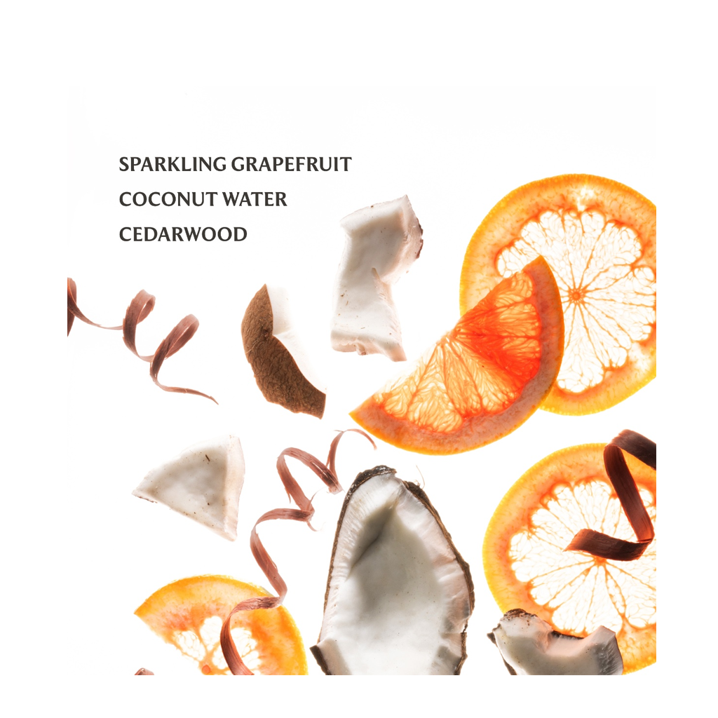 Touchland Power Mist Hydrating Hand Sanitizer - Beach Coco