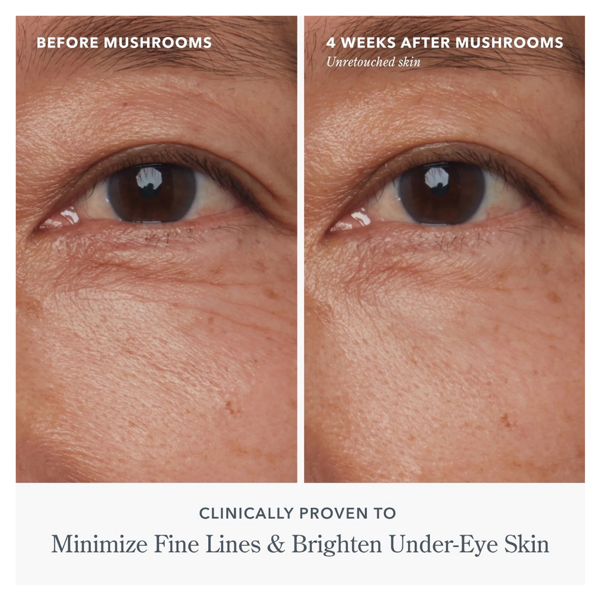 Beekman 1802 Mushroom Milk Brightening &amp; Energizing Eye Cream