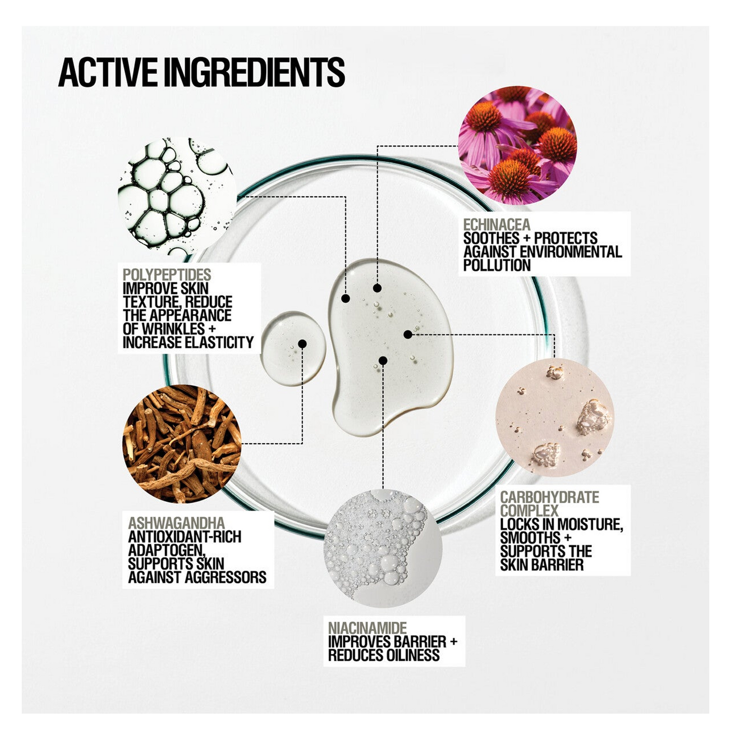 Grown Alchemist Skin Renewal Serum