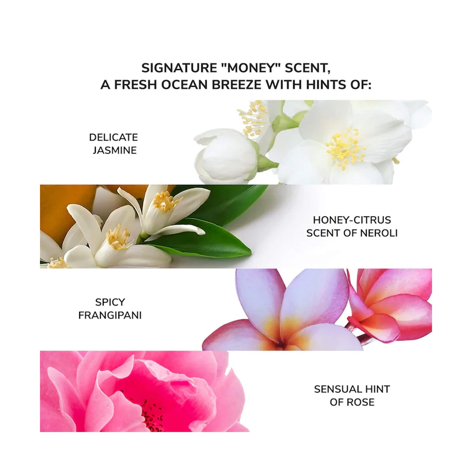 COLOR WOW Money Laundering Glossing Conditioner