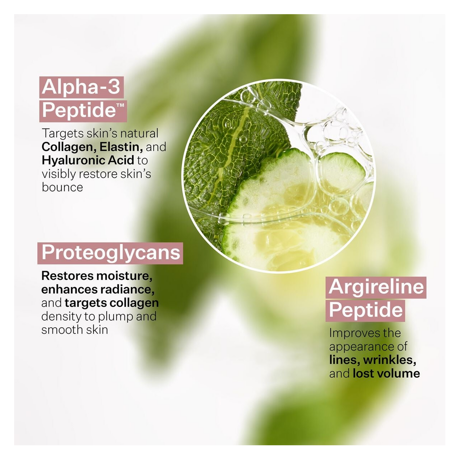 StriVectin Peptide Plump Collagen Cushion Cream