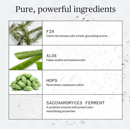 Ursa Major Forest Fix Deodorant Spray