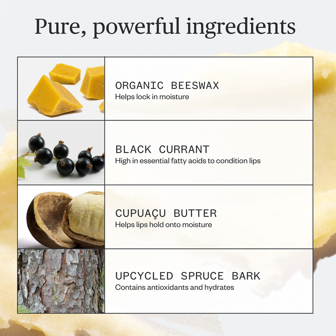 Ursa Major Going Places Lip Balm